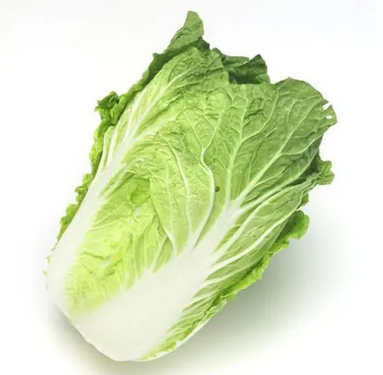 大白菜