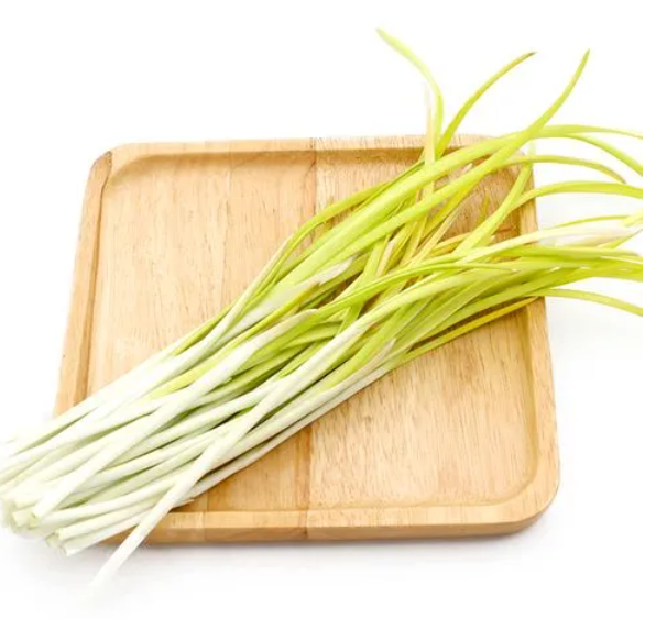 韭黄